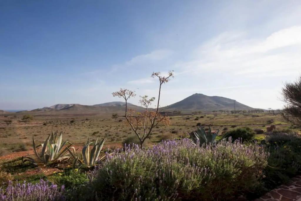 Вилла El Risco Colorado, Cabo De Gata Родалькилар Экстерьер фото